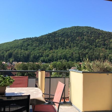 Le Panorama Lägenhet Kaysersberg-Vignoble Exteriör bild