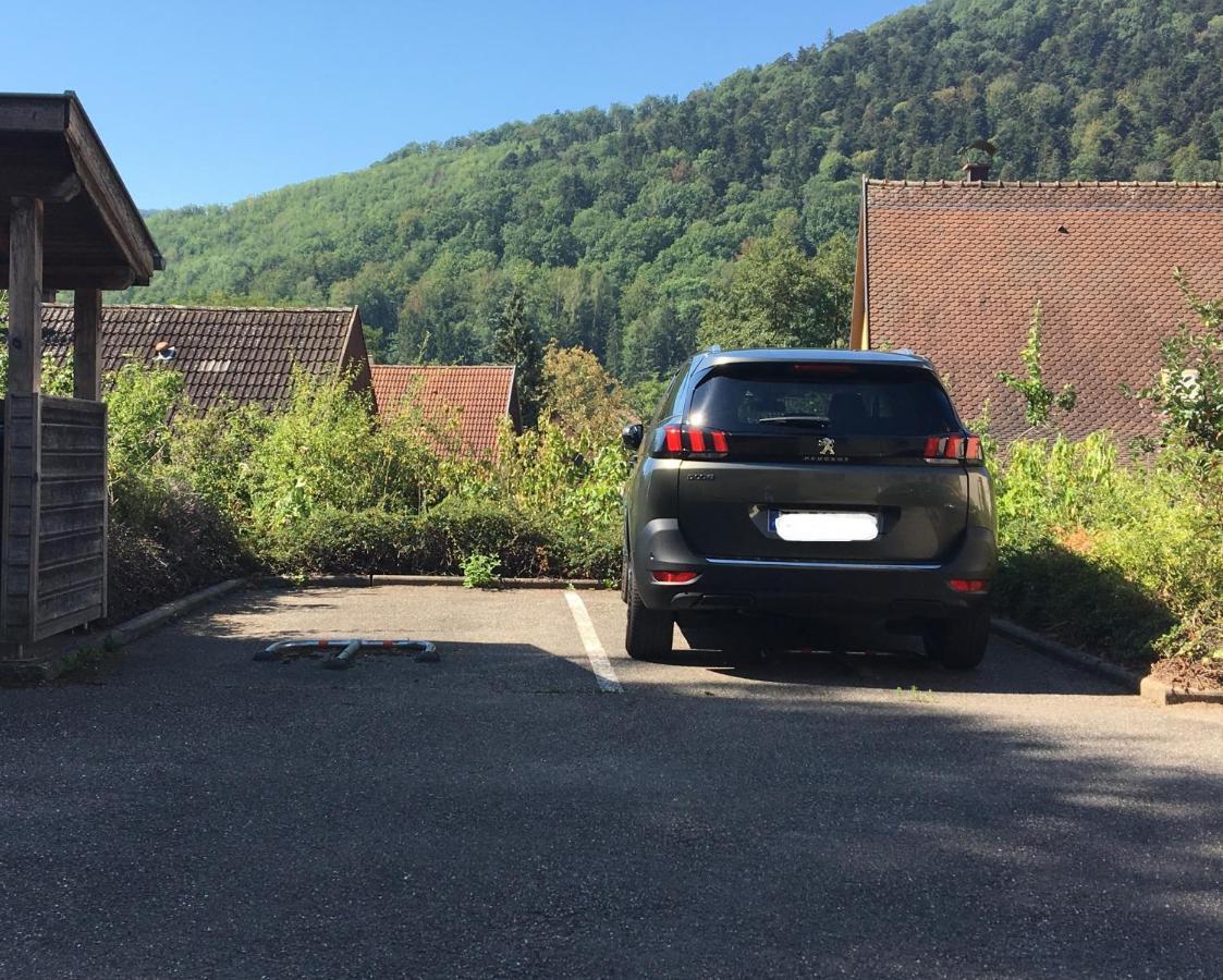 Le Panorama Lägenhet Kaysersberg-Vignoble Exteriör bild