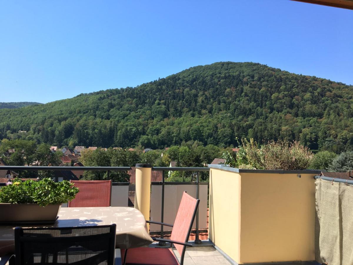Le Panorama Lägenhet Kaysersberg-Vignoble Exteriör bild