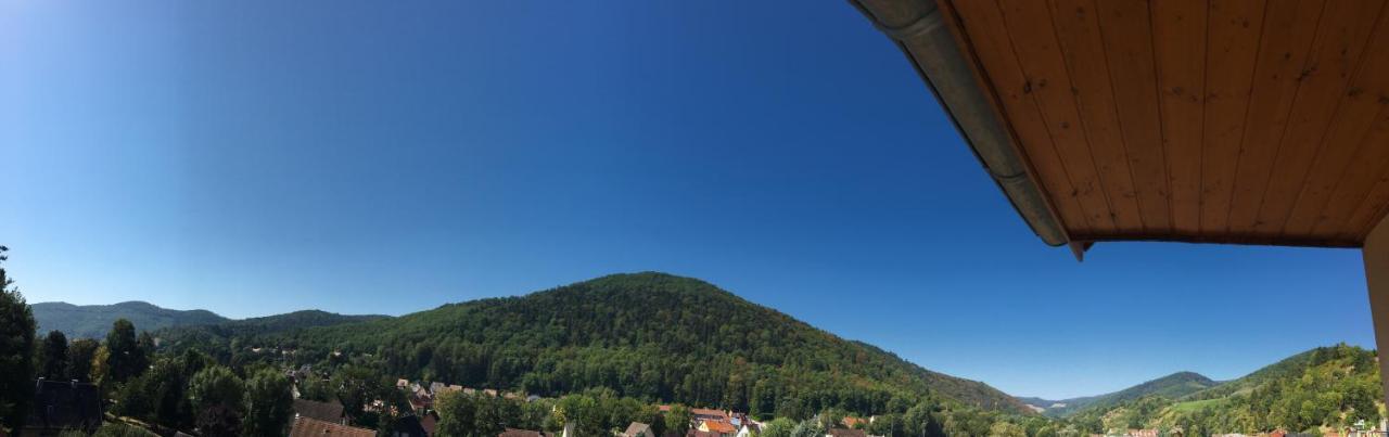 Le Panorama Lägenhet Kaysersberg-Vignoble Exteriör bild